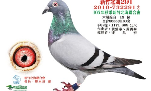 顺铂最严重的副作用是什么-顺铂副作用为什么那么大网- 顺铂的不良反应及注意事项知识,分享顺铂的副作用持续几天